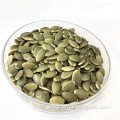 High Quality Organic Pumpkin seeds kernels